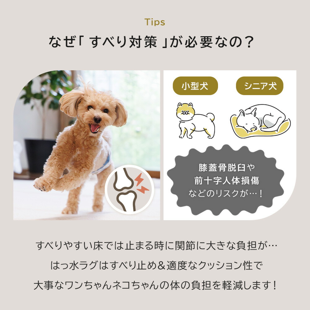 楽天市場】ペット 毛 つきにくい ラグ カーペット 洗える 撥水 はっ水