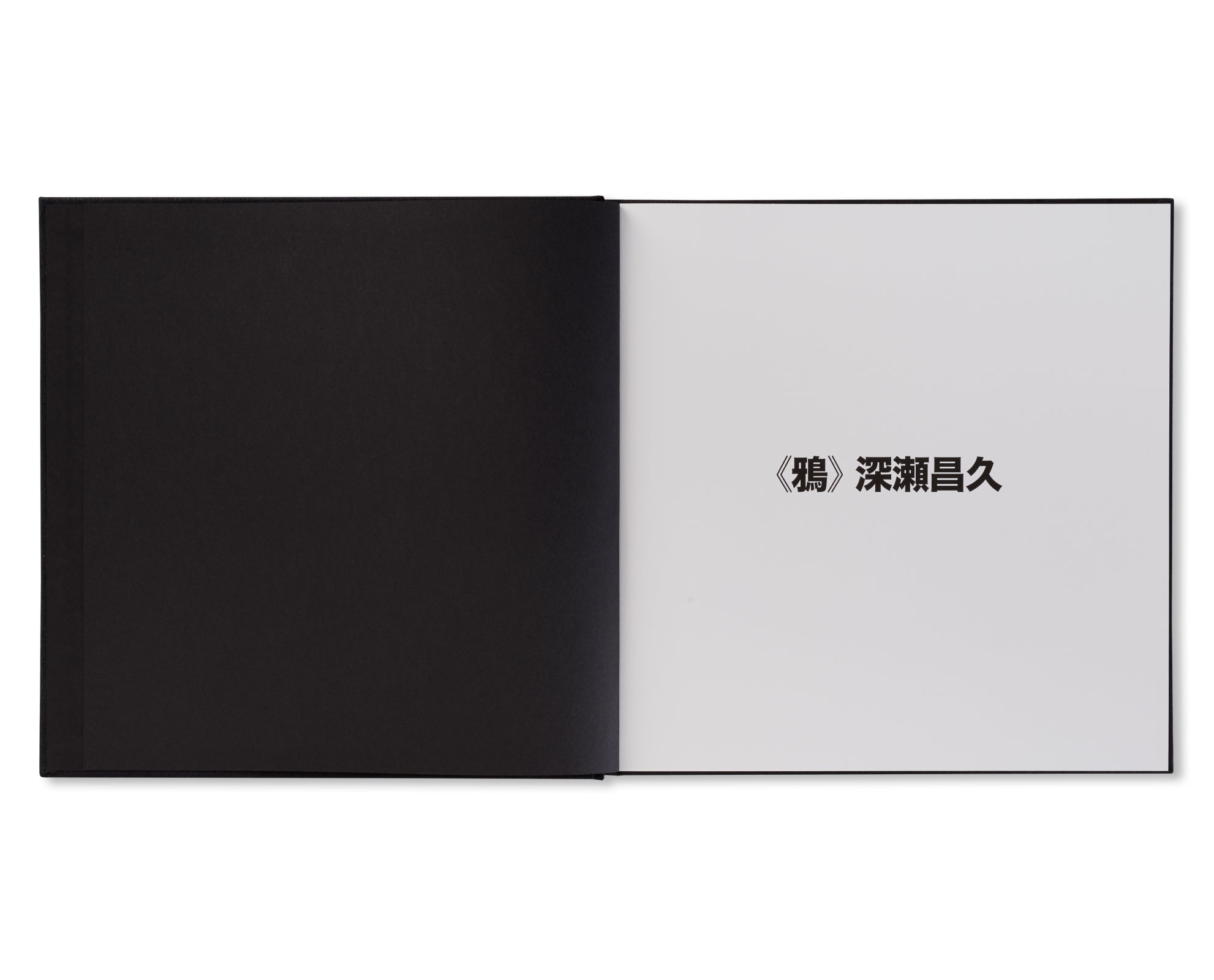 鴉 / RAVENS by Masahisa Fukase – twelvebooks