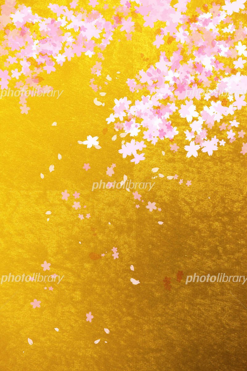 金屏風と桜のイメージ イラスト素材 [1660588] - フォトライブラリー