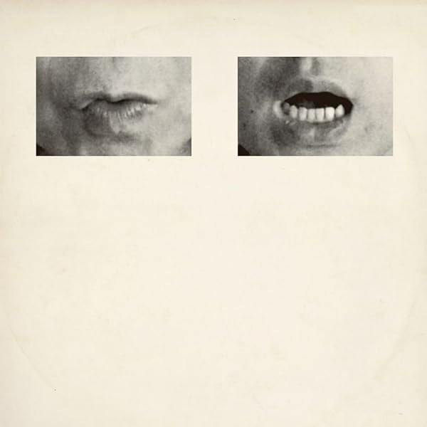 捧げる -灰野敬二の世界 | 灰野 敬二 |本 | 通販 | Amazon