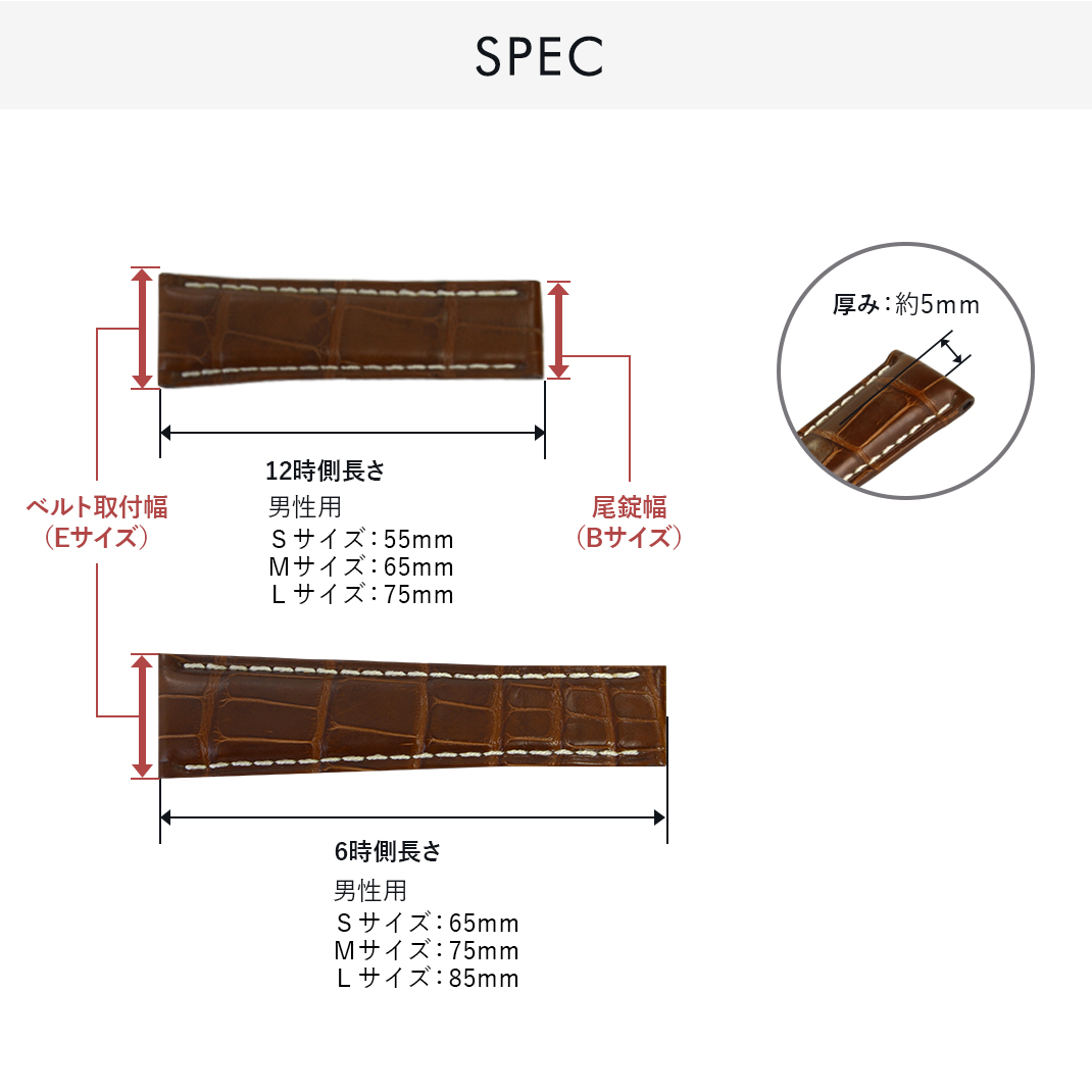 CASSIS（カシス） ロレックス（ROLEX） デイトナ用 裏面防水