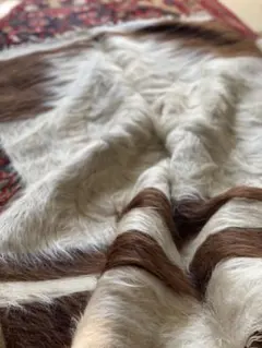 2026年最新】バッターニエ トルコの人気アイテム - メルカリ