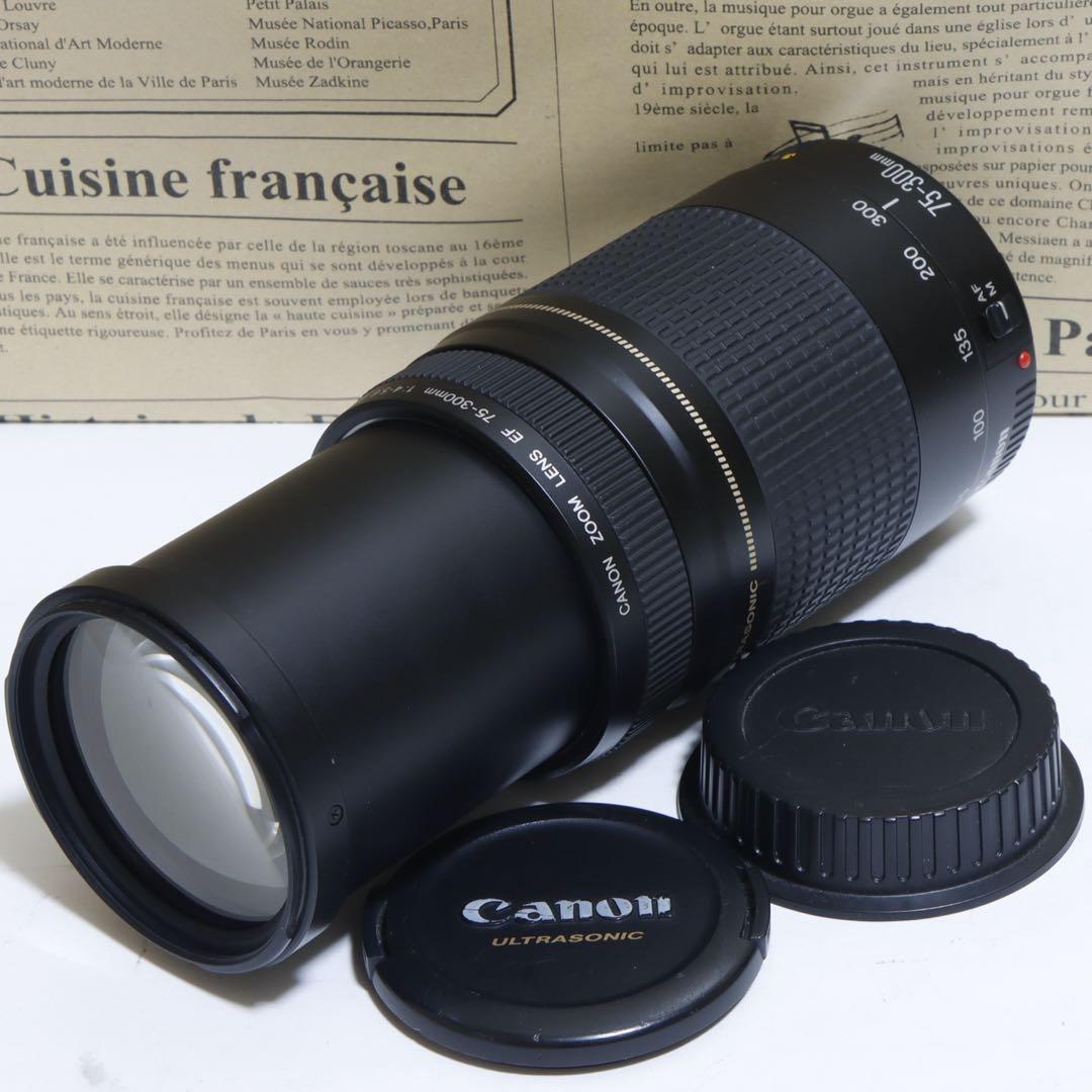 ◇ 大迫力望遠!◇Canon純正 75-300mm II型 超望遠◇ ◇ 大迫力300mm超望遠 ◇Canon純正 75-300mm II型 ◇ - メルカリ