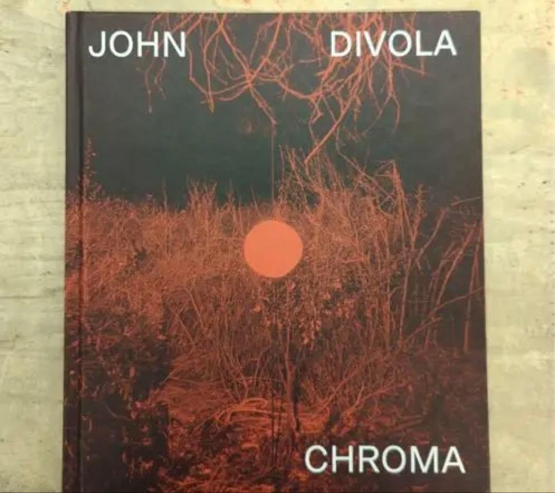 アート・デザイン・音楽 JOHN DIVOLA CHROMA John Divola / CHROMA | CYRO
