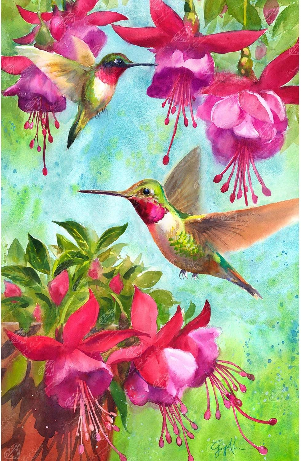 Enhancement Suggestions for Fuchsia Hummingbird by Geoff Allen and